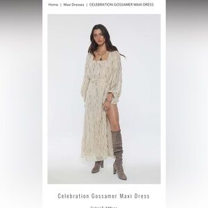 Stunning Celebration Gossamer Maxi Dress. Brand new condition, only worn once.
